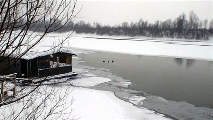Zale�ena Sava 2012